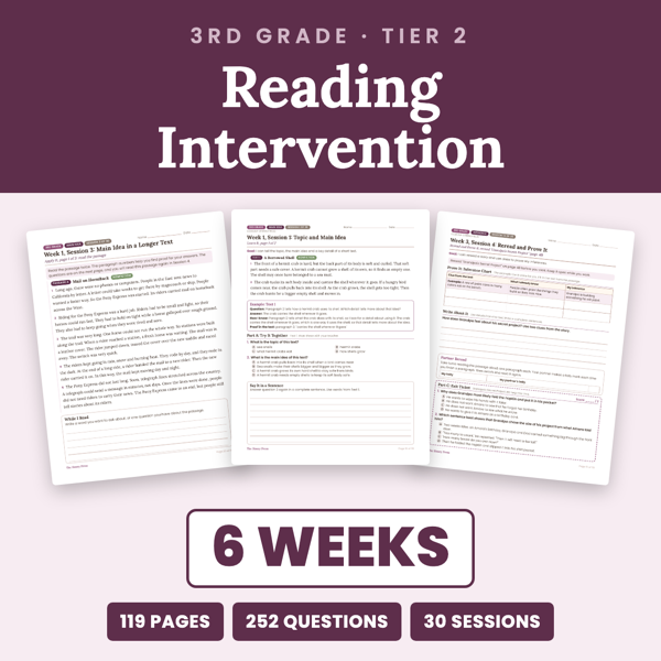 Cover of 3rd Grade Reading Intervention